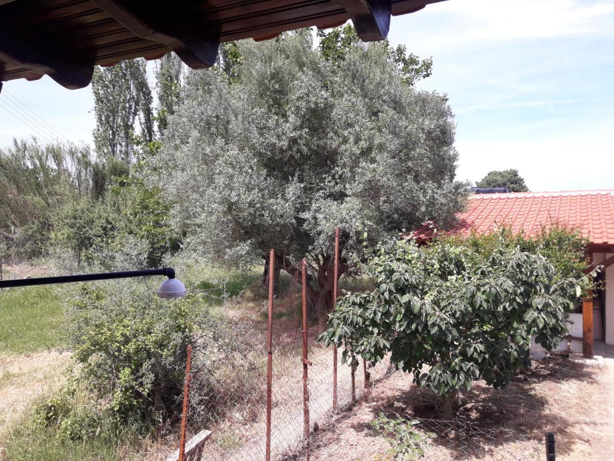 Olympian Garden Home Ayios Nikolaos Bagian luar foto